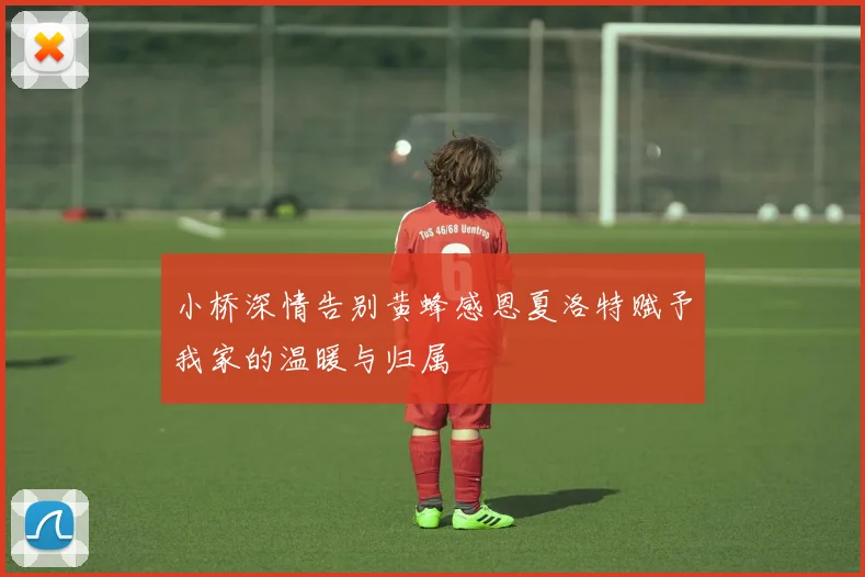 小桥深情告别黄蜂感恩夏洛特赋予我家的温暖与归属